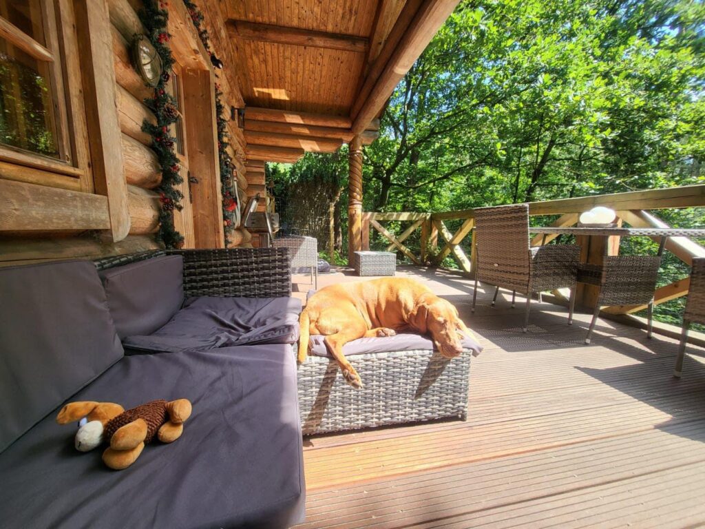 Blockhäusle Lüneburger Heide mit eingezäuntem Waldgrundstück – Foto 38