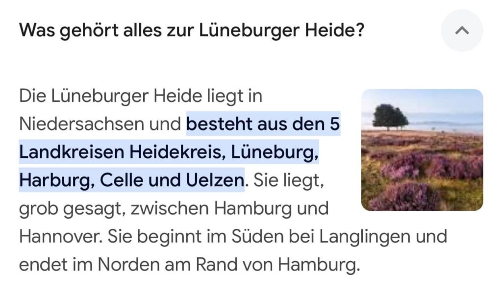 Blockhäusle Lüneburger Heide mit eingezäuntem Waldgrundstück – Foto 42