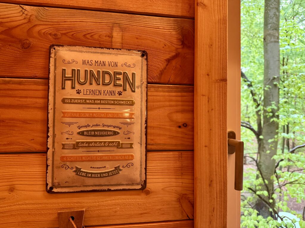 Tannhäusle mit eingezäuntem Waldgrundstück Lüneburger Heide – Foto 24