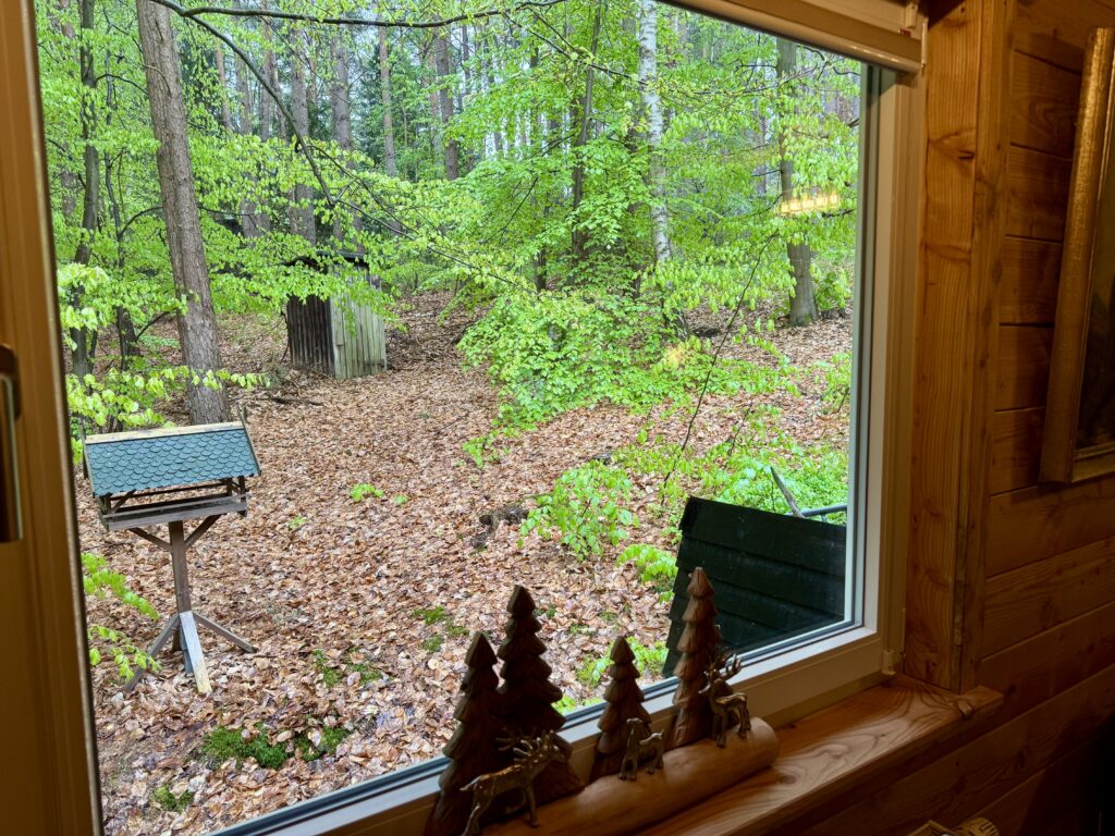 Tannhäusle mit eingezäuntem Waldgrundstück Lüneburger Heide – Foto 29