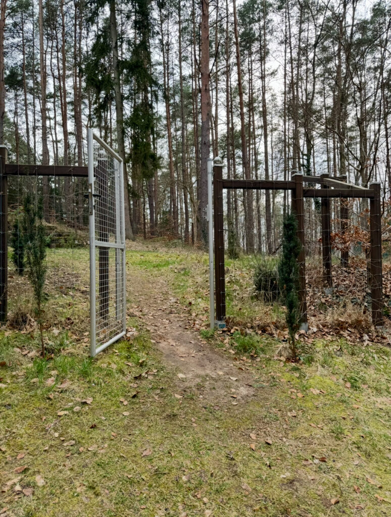 Tannhäusle mit eingezäuntem Waldgrundstück Lüneburger Heide – Foto 31