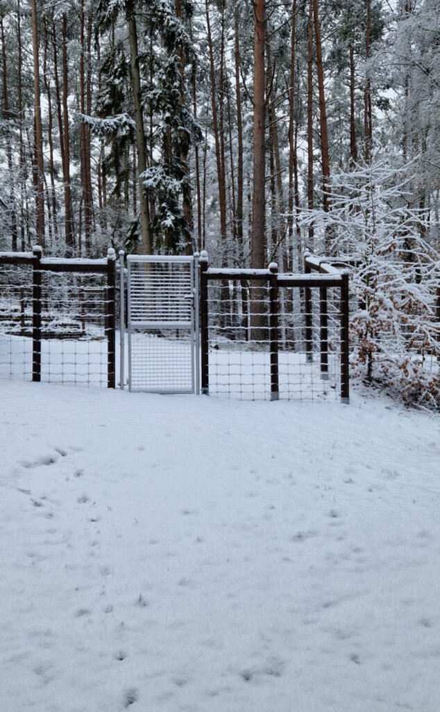 Tannhäusle mit eingezäuntem Waldgrundstück Lüneburger Heide – Foto 33