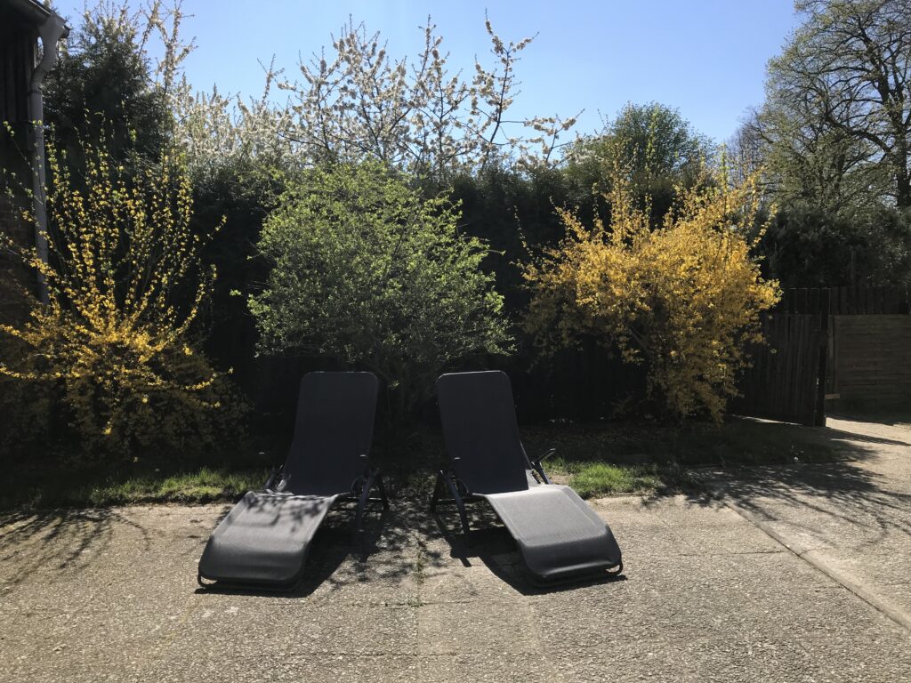 Große Ferienwohnung im Haus Roggentin – Foto 38