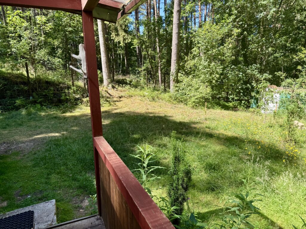 Tannhäusle mit eingezäuntem Waldgrundstück Lüneburger Heide – Foto 36