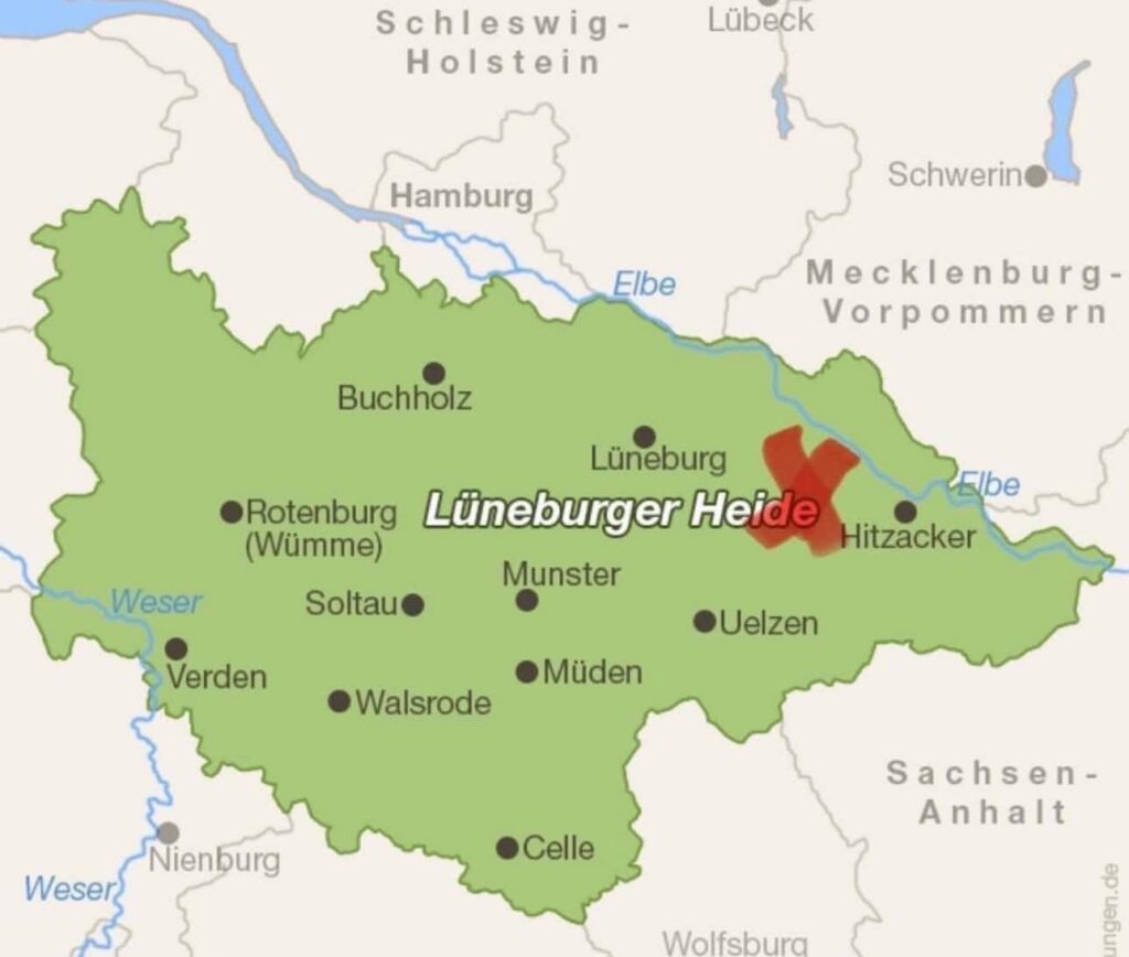 Tannhäusle mit eingezäuntem Waldgrundstück Lüneburger Heide – Foto 43
