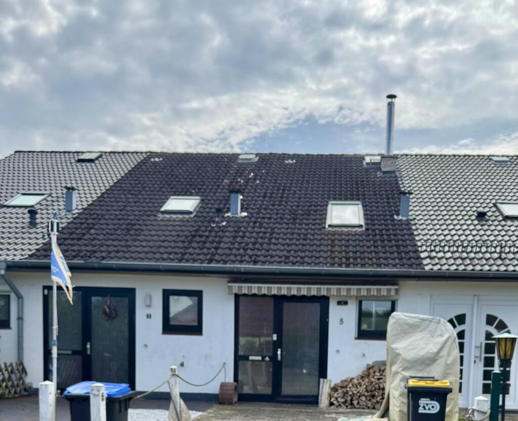 Ferienhaus Fritz Grömitz Ostsee Strandkorb Hundestrand – Foto 4