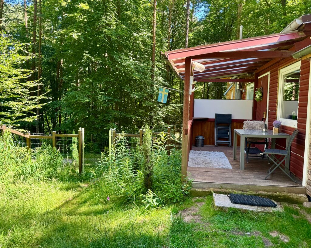 Tannhäusle mit eingezäuntem Waldgrundstück Lüneburger Heide – Foto 37
