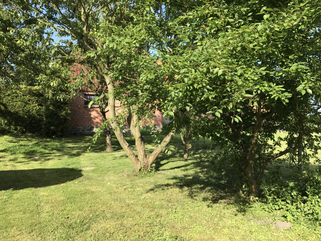 Kleine Wohnung 16