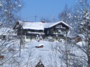 Zaun/Einfriedung