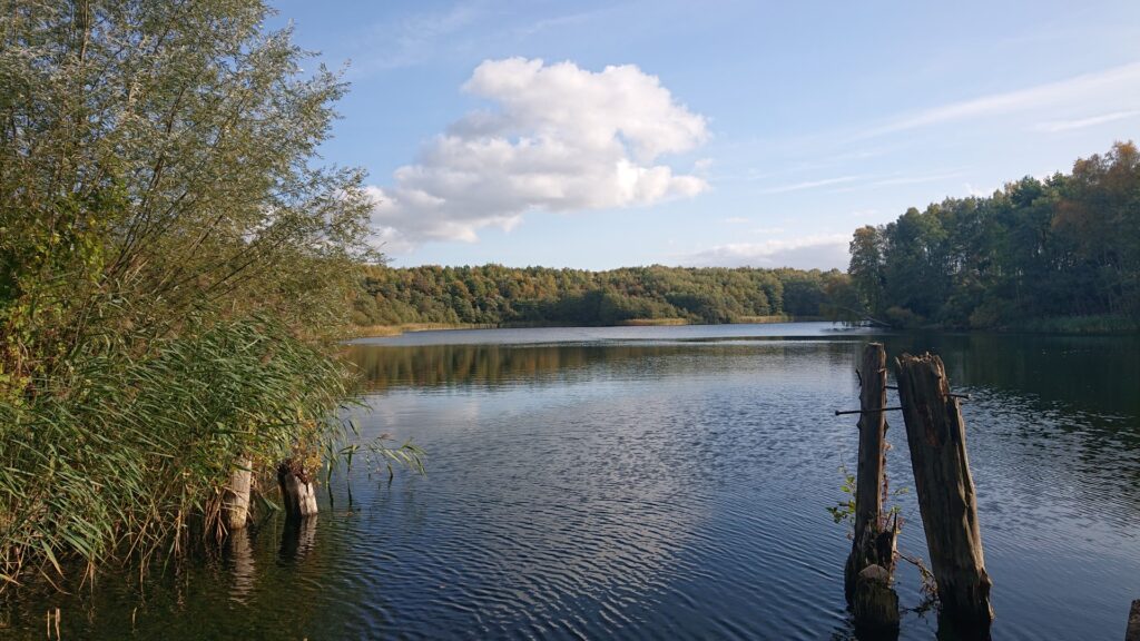 Ferienhaus im Biosphärenreservat Schaalsee in Zarrentin-Neuhof – Foto 34